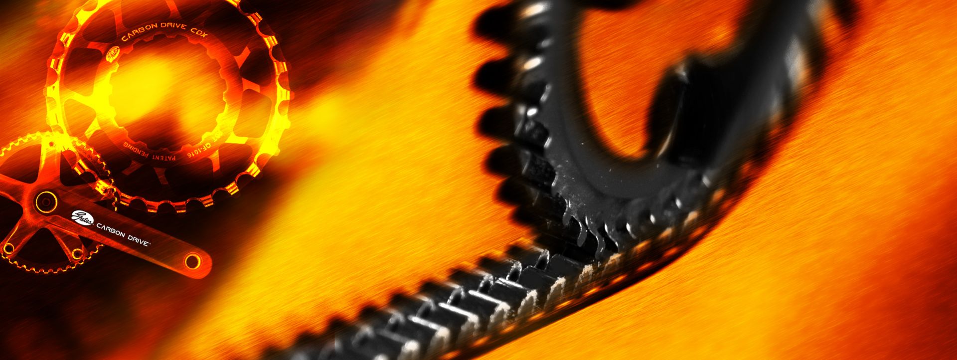Gates Carbon Drive